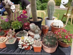 Leicester Botanic Gardens open day this June 2022